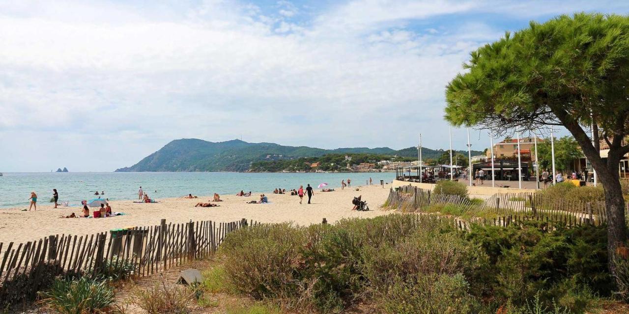 Siber & Sandrine La Seyne-sur-Mer Bagian luar foto